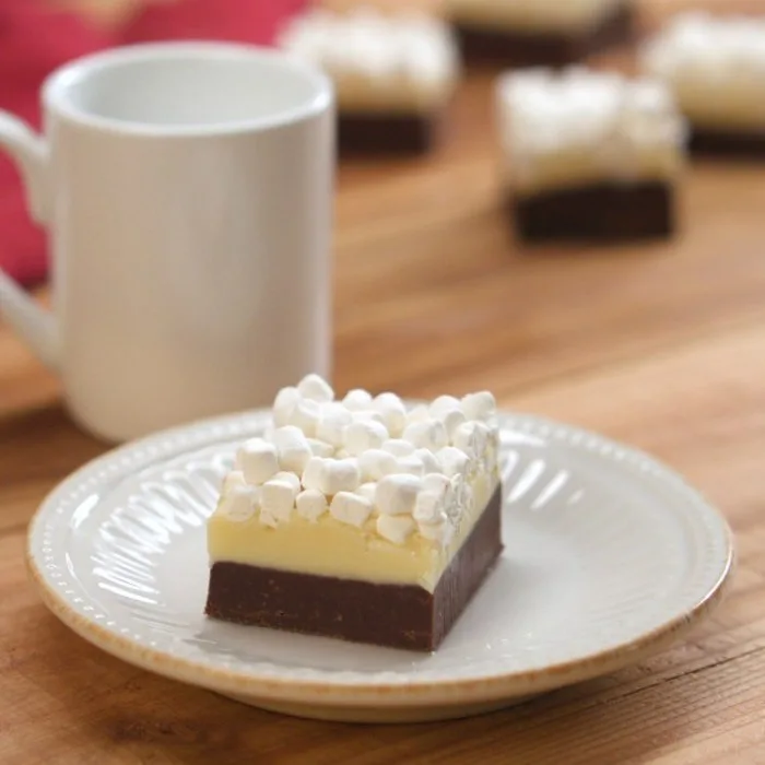 Chocolate Fudge